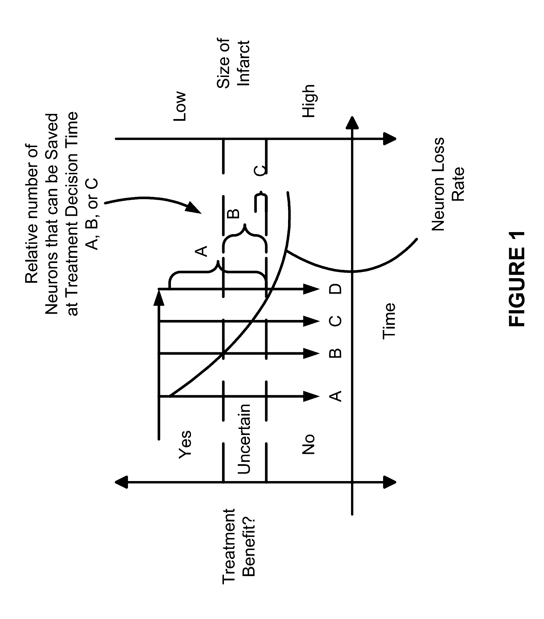 Systems and methods for diagnosing strokes