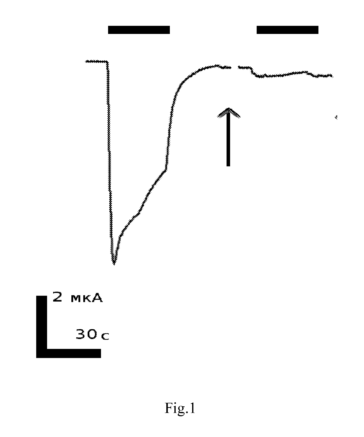 Peptide inhibitors of nicotinic acetylcholine receptor