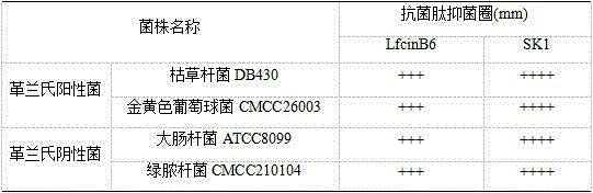 Cationic antibacterial peptide as well as preparation method and application thereof