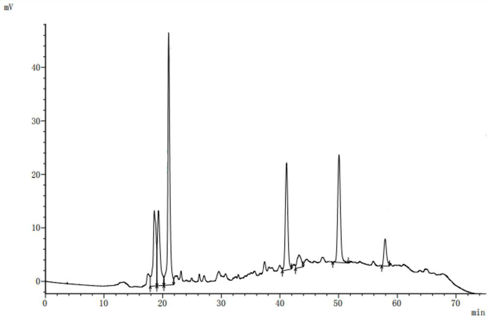 A kind of active peptide with blood lipid-lowering function derived from Chinese wood beetle and its preparation method and application