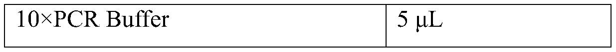 Fungaltoxin ZEN degrading enzyme mutant and application thereof