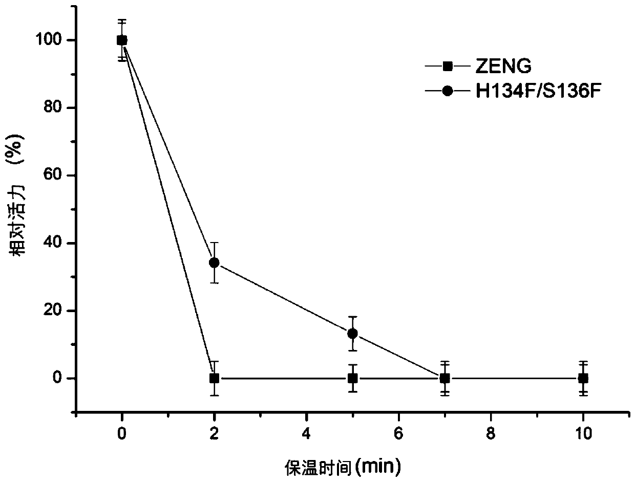 Fungaltoxin ZEN degrading enzyme mutant and application thereof