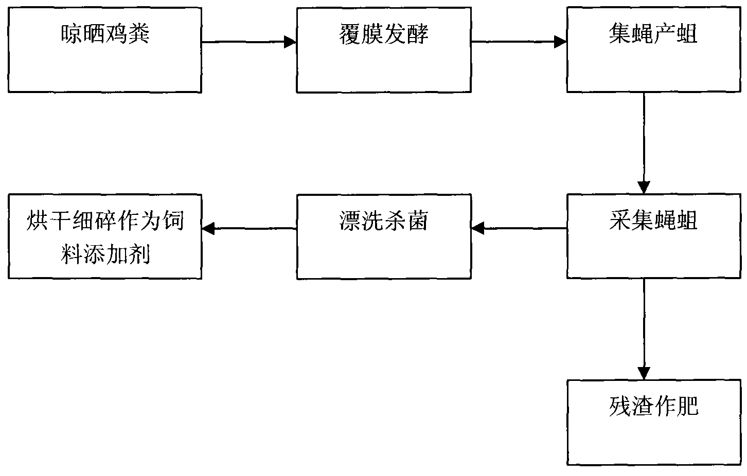 Technology for processing and recycling chick manure