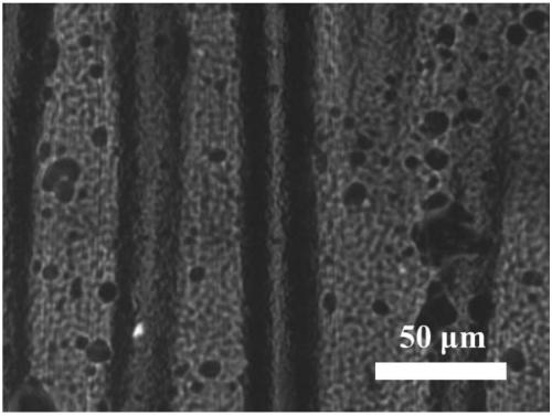 Method for constructing multi-stage morphology polypyrrole film based on in-situ wrinkling and stretch retraction