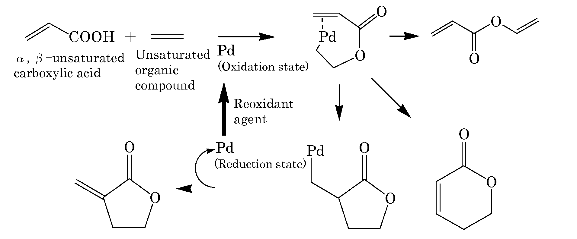 Method for producing cyclic unsaturated compound