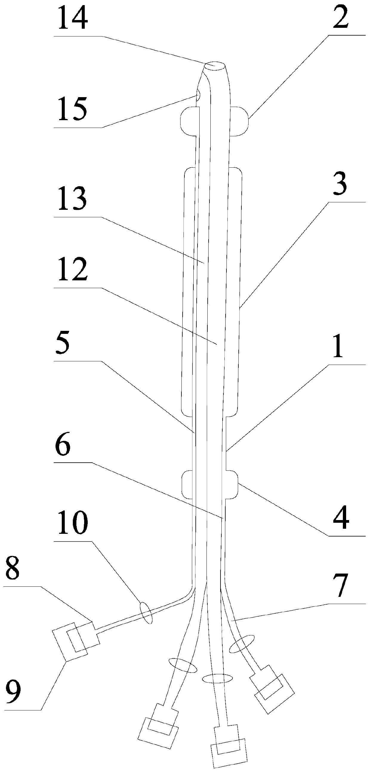 Biliary drainage pipe