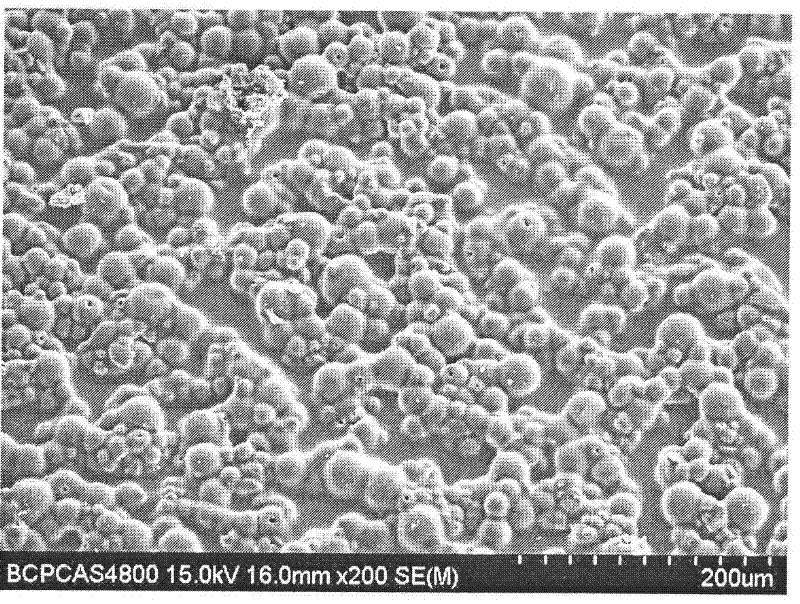 Granulation polishing film, preparing method thereof and application thereof