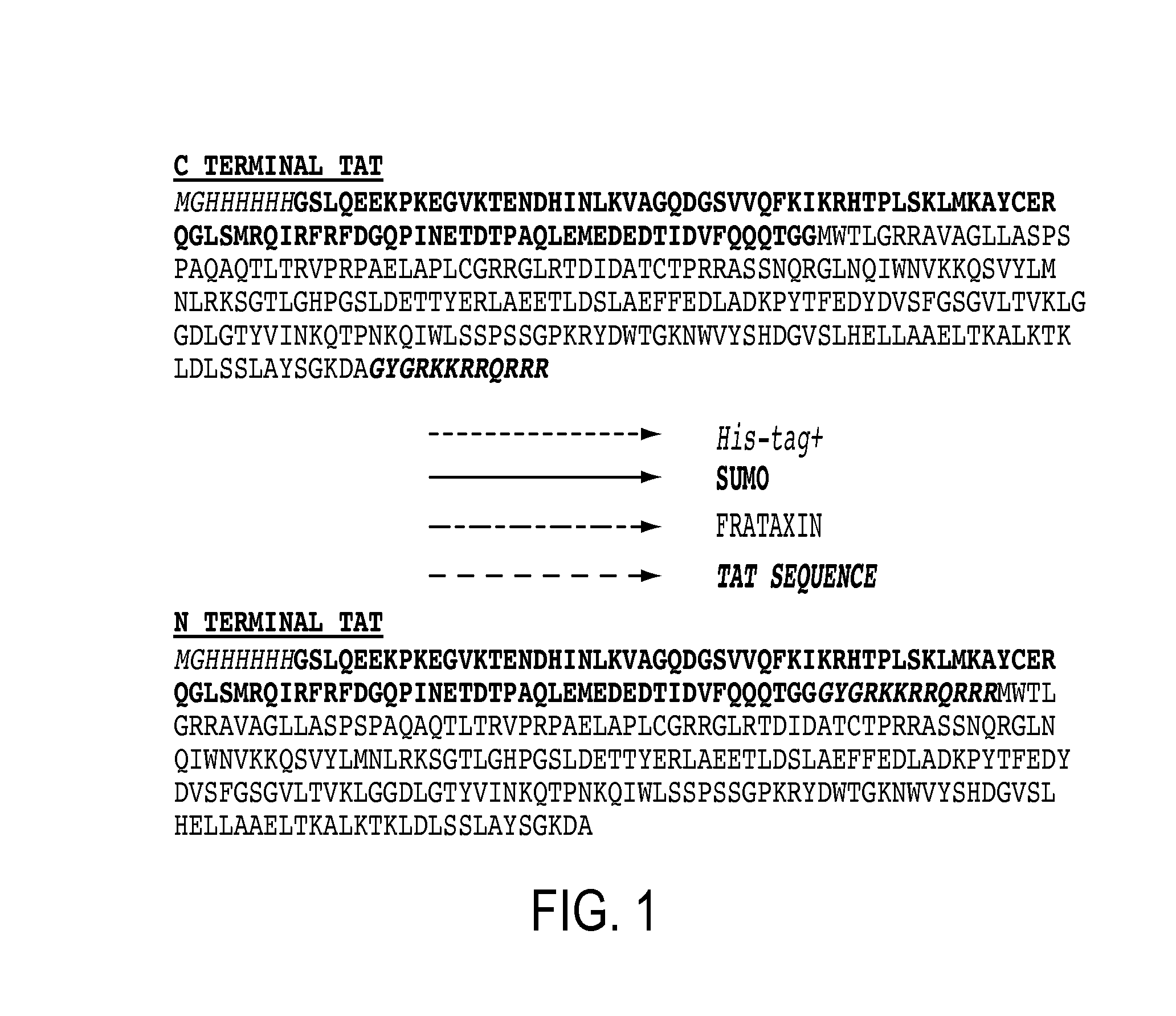 Mitochondrial targeting and therapeutic use thereof