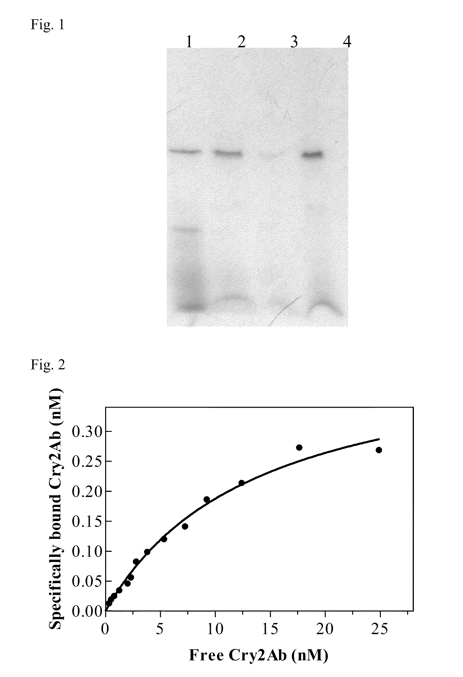 Bollworm Insect Resistance Management in Transgenic Plants