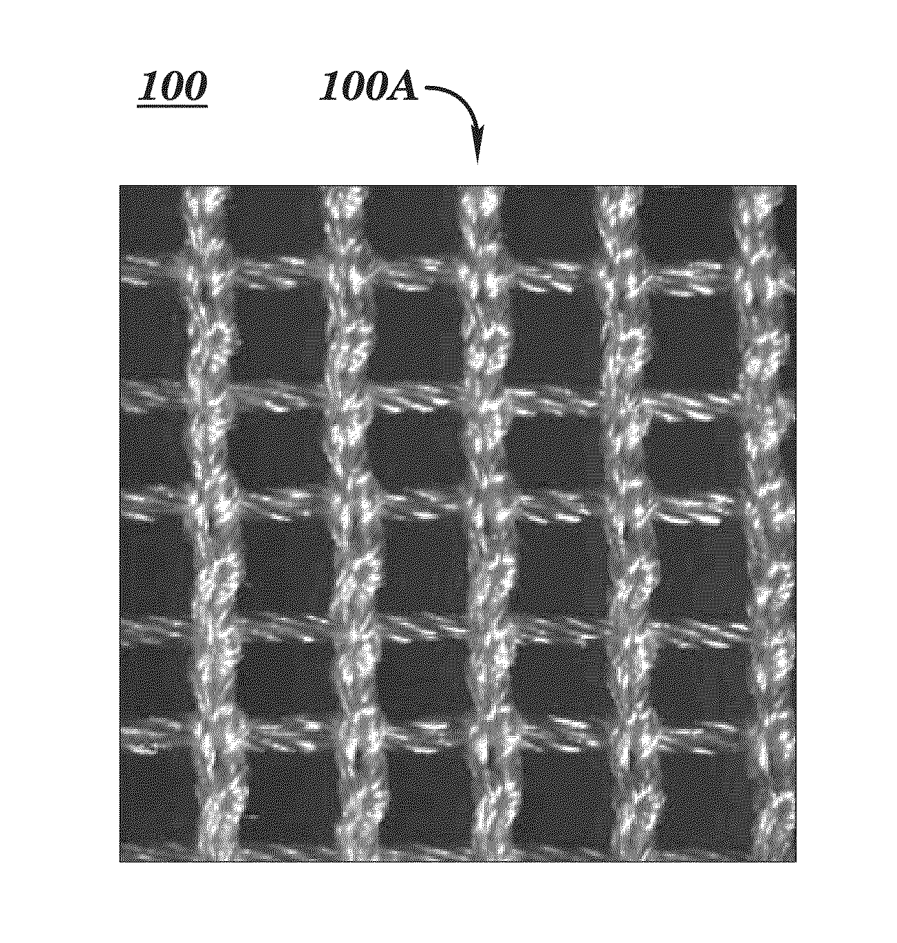 Biocompatible surgical scaffold with varying stretch