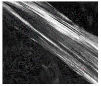 Method for preparing ultrafine carbon fiber bundles reinforced by aldehyde resins