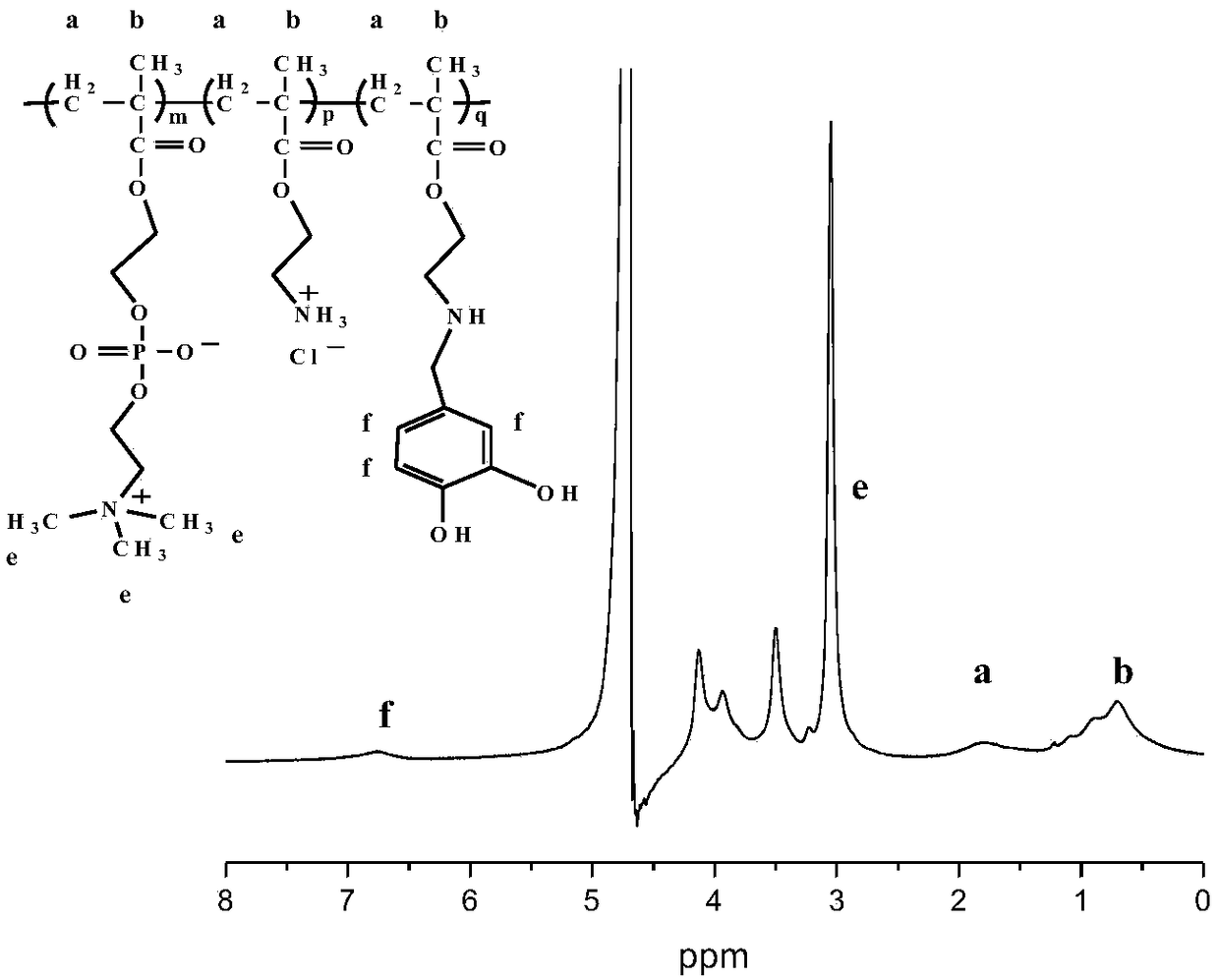 A method for synthesizing double biomimetic polymers based on the reaction of aldehyde groups and amino groups