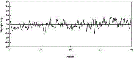 Peanut Violaxanthin Decycloxygenase Gene, Its Encoded Protein and Its Application