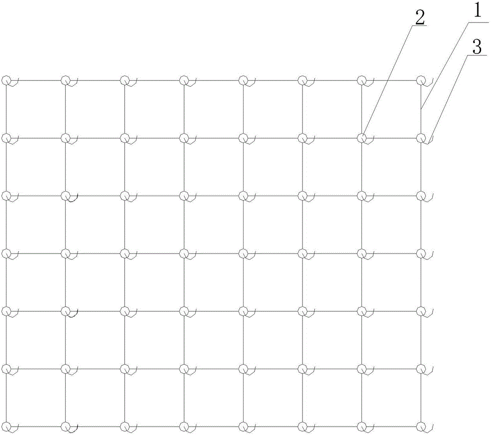 Method for establishing macrobrachium nipponensis aquarium family and carrying out standardized young shrimp culture