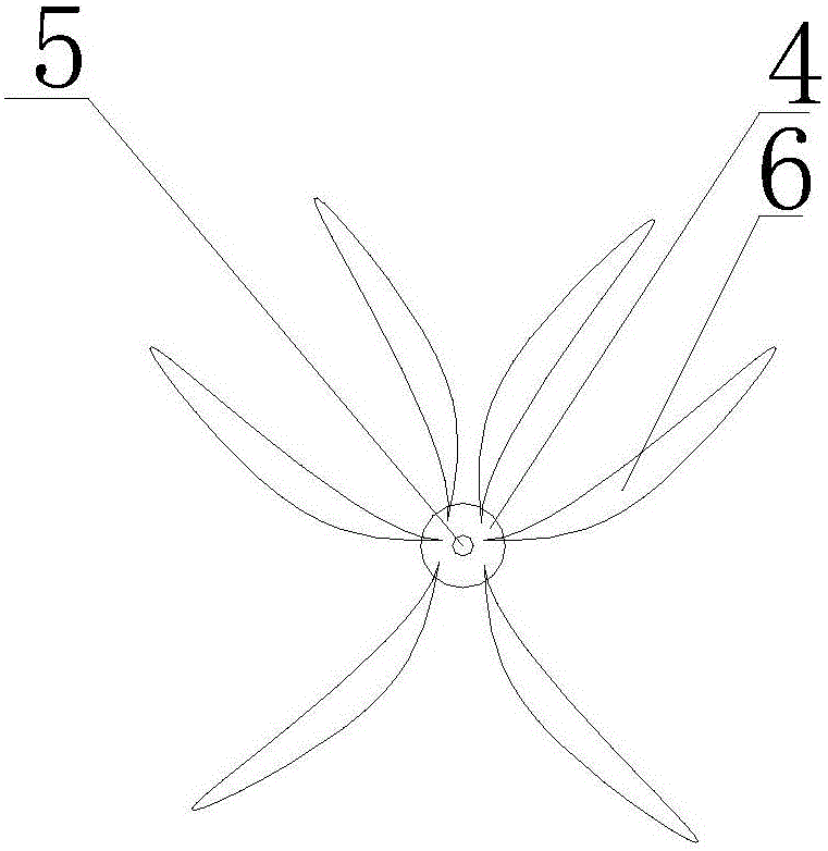 Method for establishing macrobrachium nipponensis aquarium family and carrying out standardized young shrimp culture