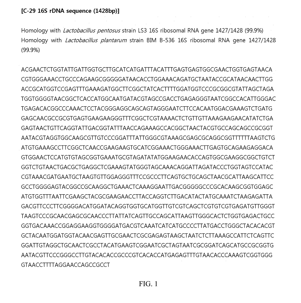 Lactic acid bacteria capable of preventing and/or treating senescence and dementia