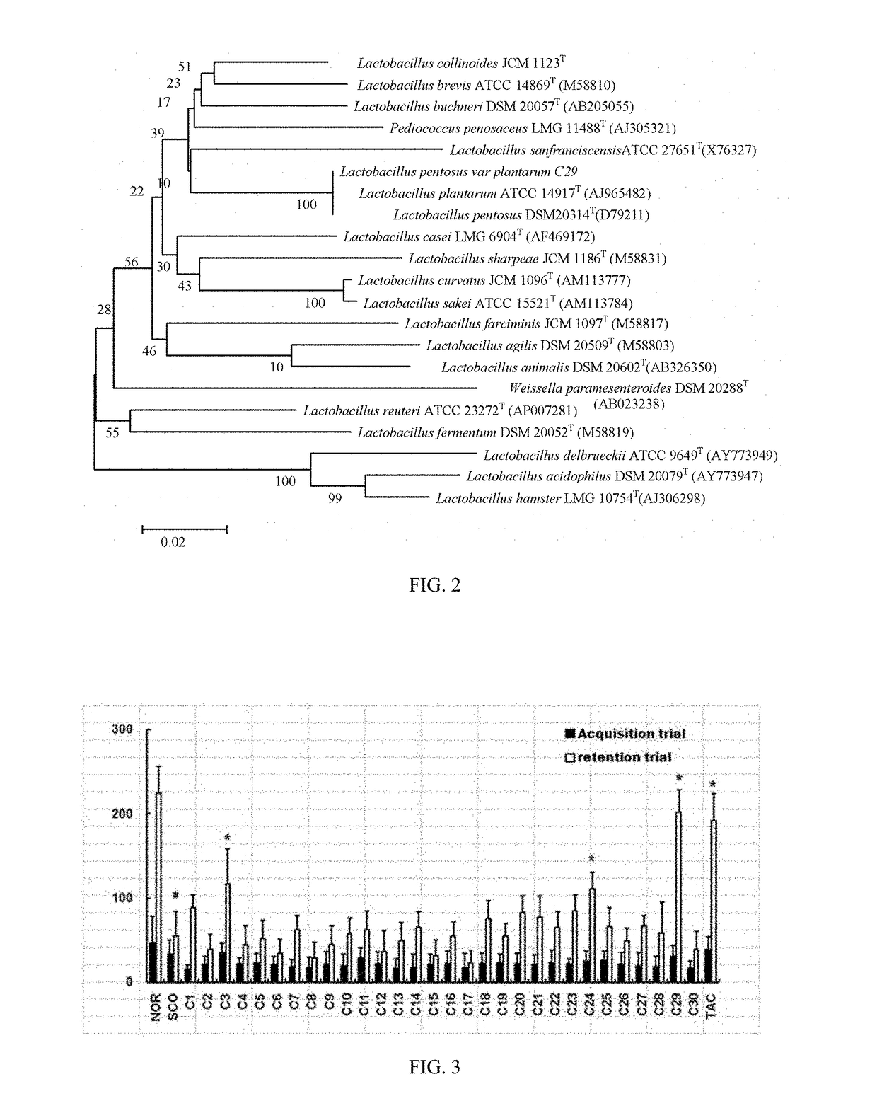 Lactic acid bacteria capable of preventing and/or treating senescence and dementia