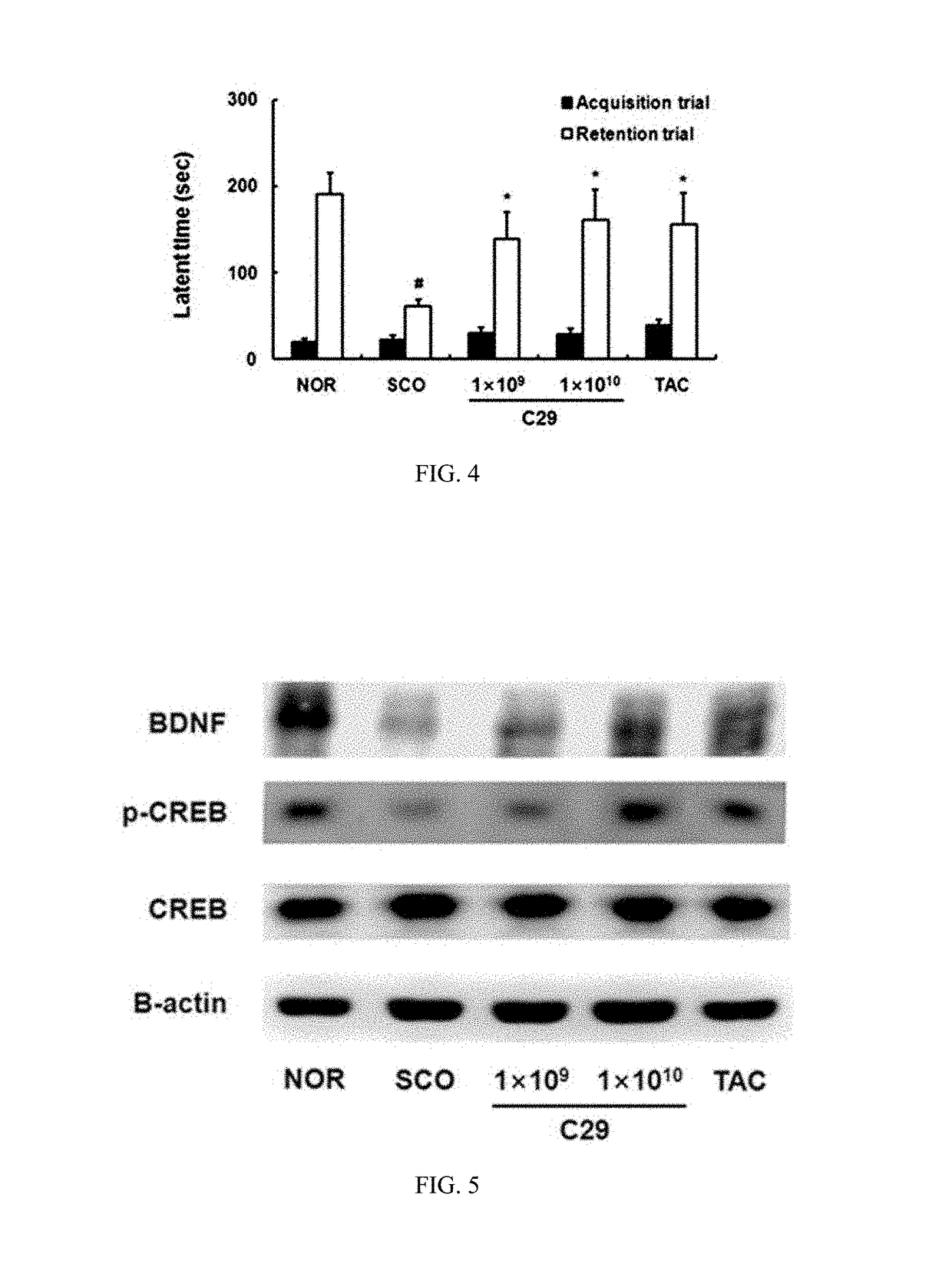 Lactic acid bacteria capable of preventing and/or treating senescence and dementia