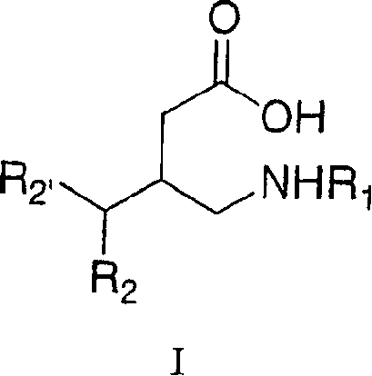 Process for preparing highly functionalized gamma-butyrolactams and gamma-amino acids