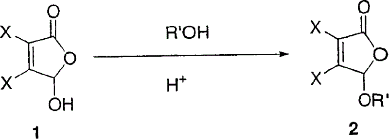 Process for preparing highly functionalized gamma-butyrolactams and gamma-amino acids