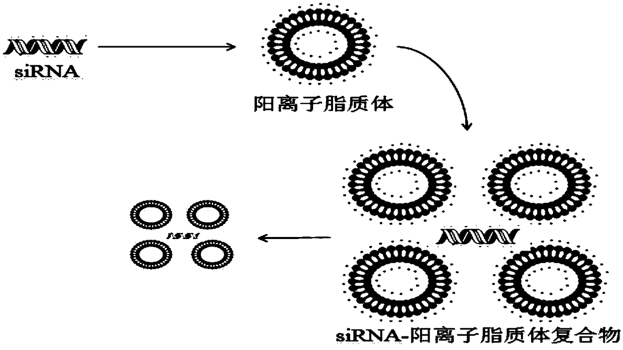 Method capable of reducing biogenic amine in fermented sausage and application thereof