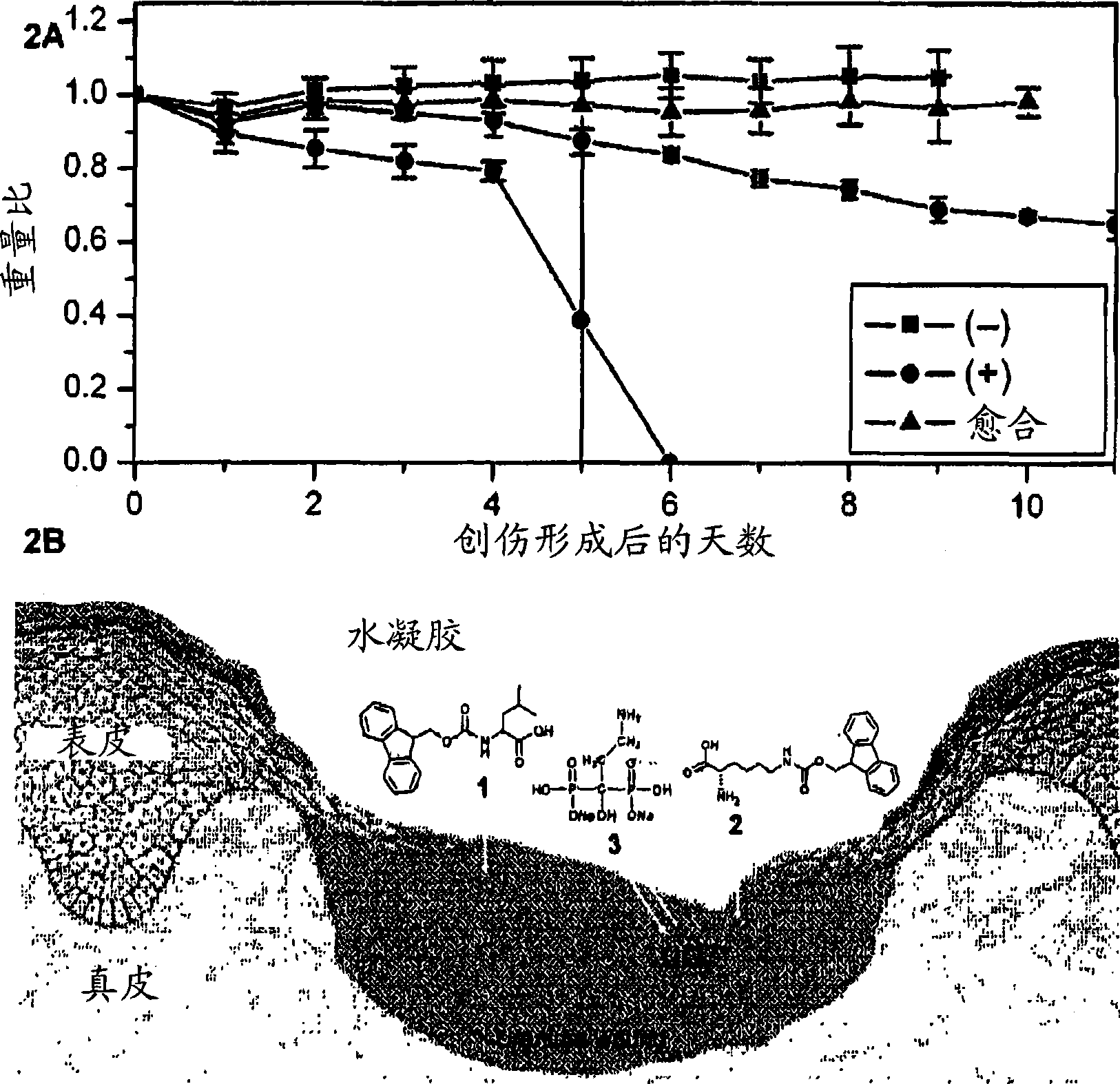 Multifunctional supramolecular hydrogels as biomaterials