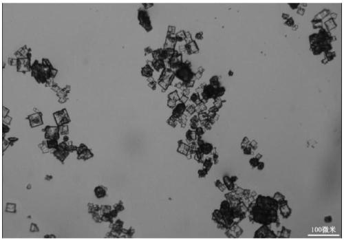 Preparation method of fine particle NTO