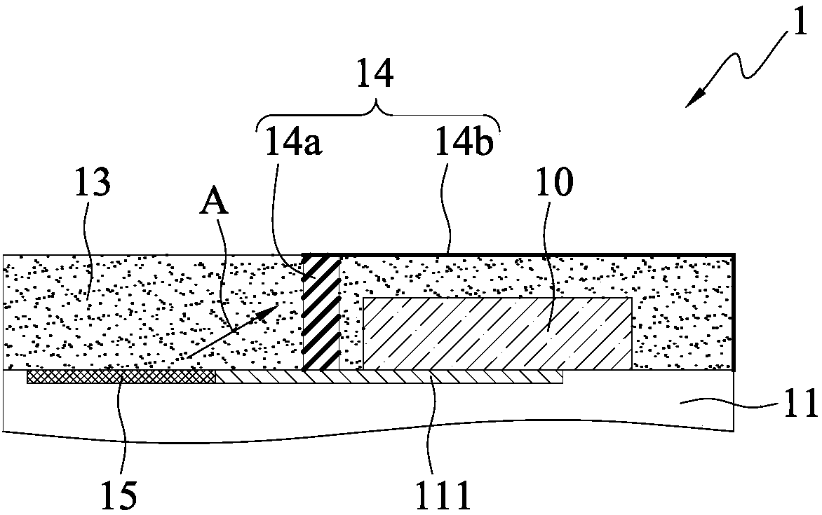 Electronic module