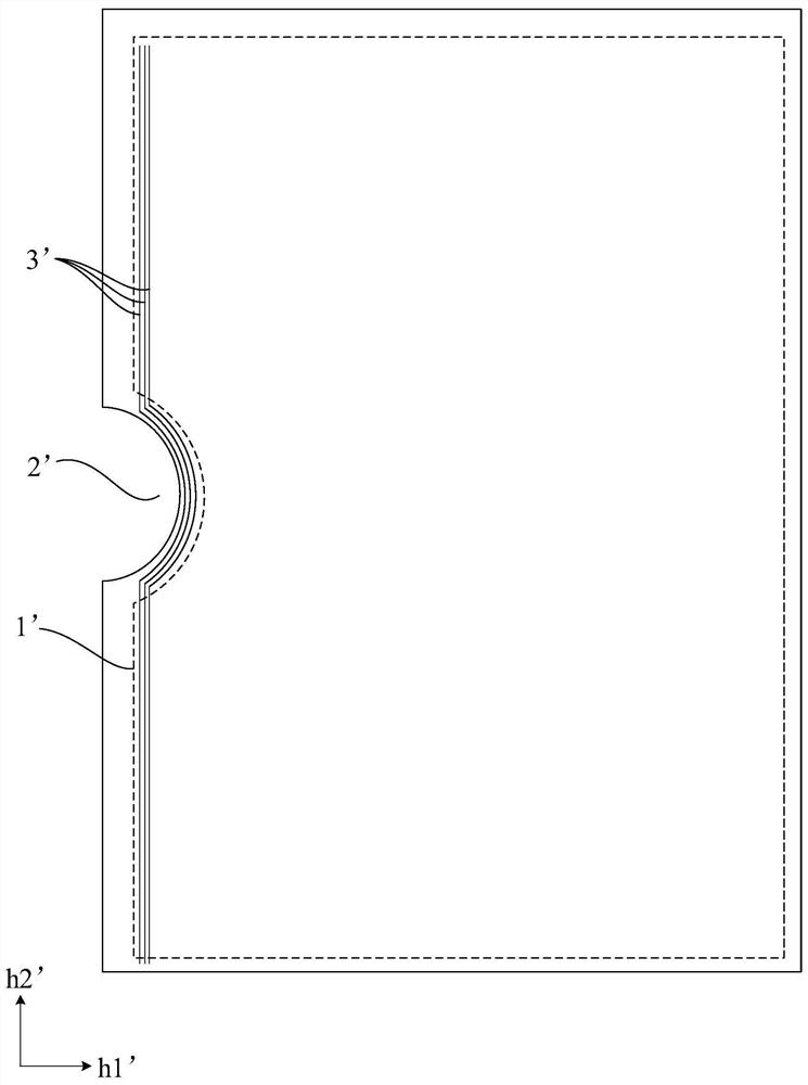 Organic light emitting display panel and display device