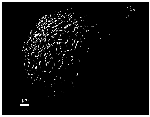 Preparation method of high-nickel ternary cathode material