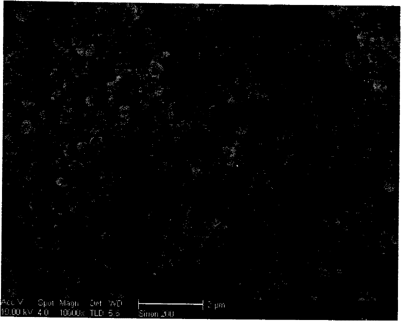 A kind of preparation method of hollow silkworm cocoon-like cuo nanometer material