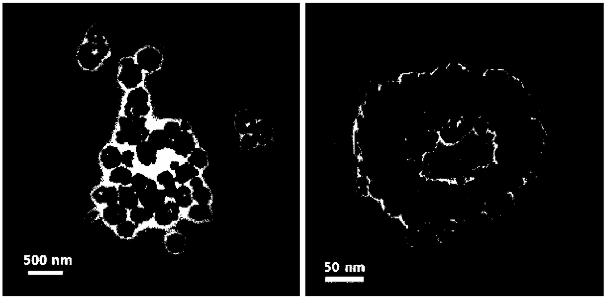 A ring-shaped copper-doped cerium oxide nanomaterial and its preparation and application