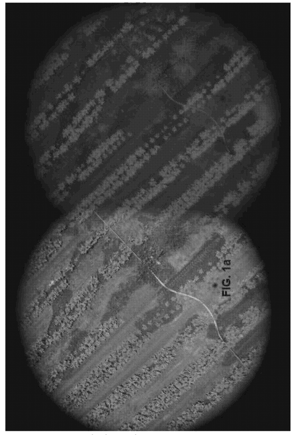 Method for aerial imagery acquisition and analysis