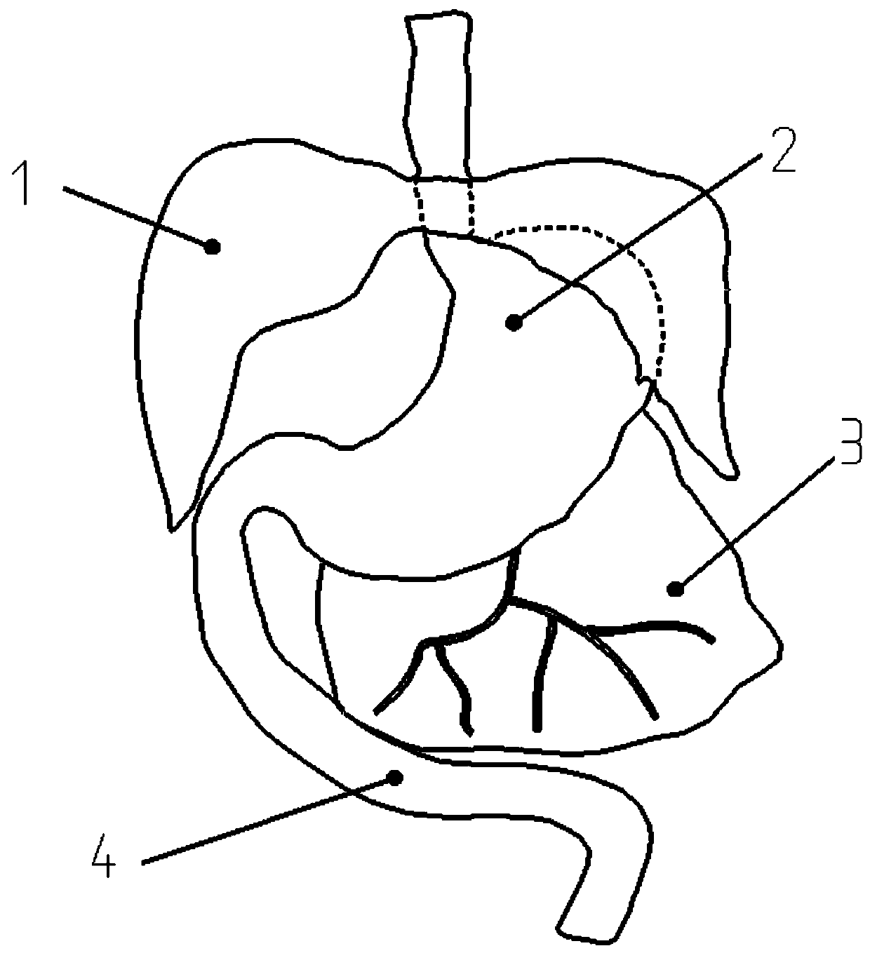 Bionic gastrointestinal tract operation model capable of being cut by electrotome and manufacturing method thereof