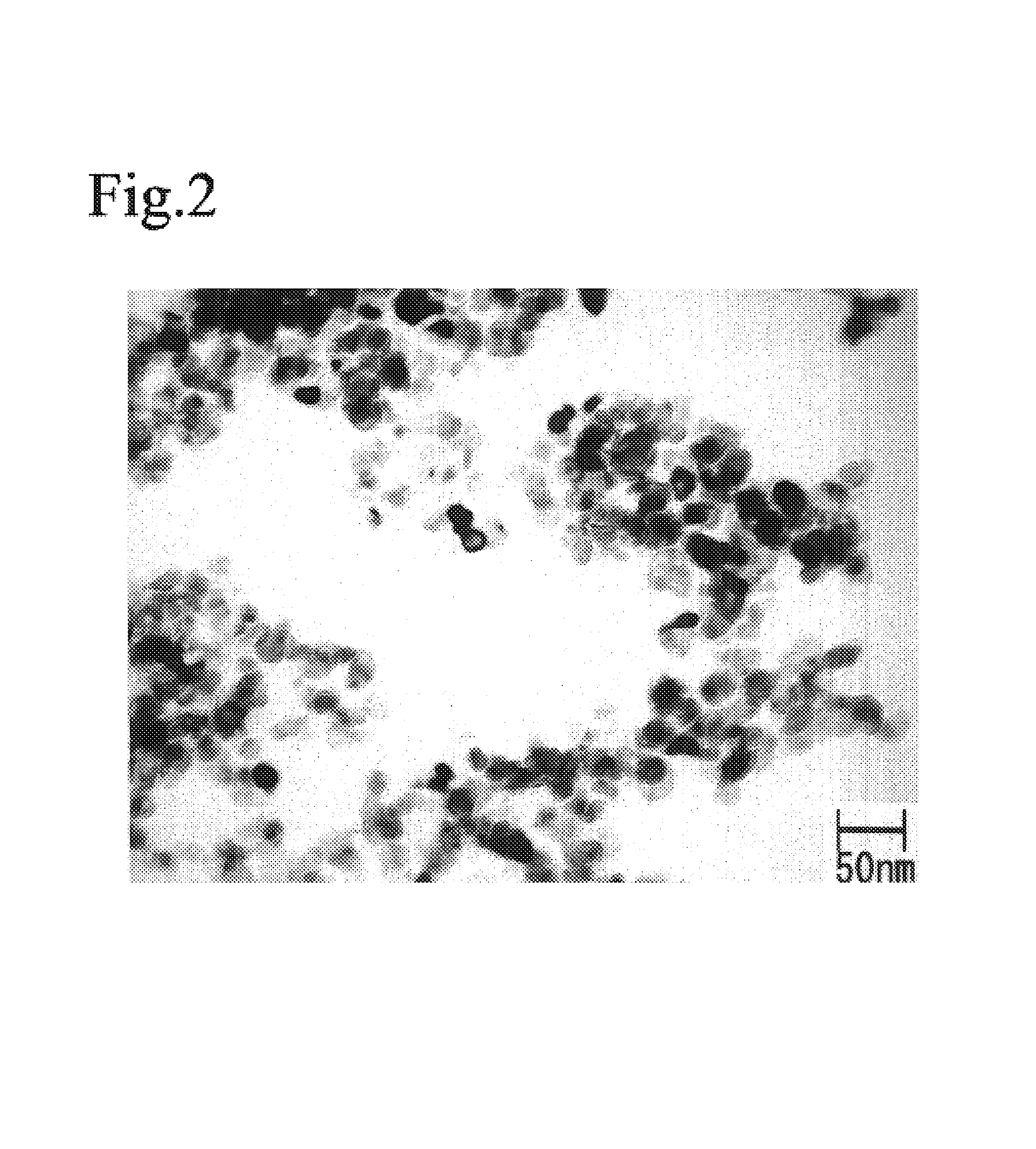 Magnetic recording medium containing particles with a core containing a Fe16N2 phase