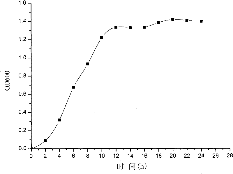 Black pepper peel degumming strain and use thereof