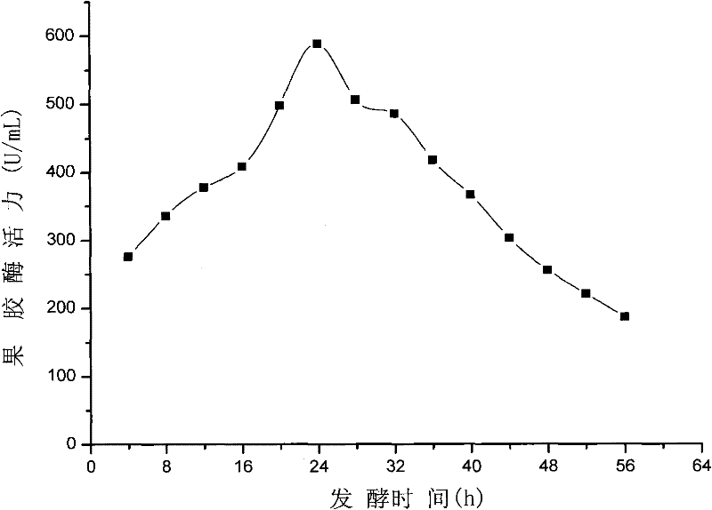 Black pepper peel degumming strain and use thereof