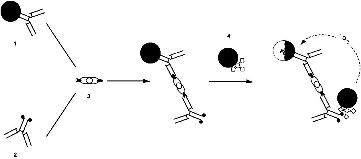 Human prolactin (PRL) detection kit, as well as preparation method and application thereof