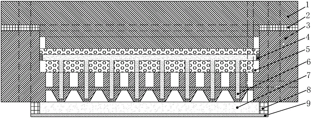 Negative electrode flow field plate bionic structure capable of improving drainage performance of fuel cell