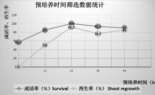 Cryopreservation method for plant germplasm of whortleberry