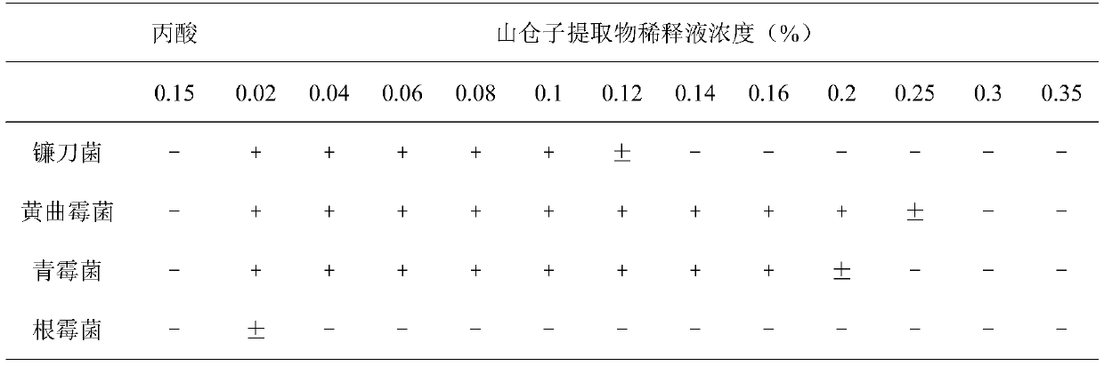 Application of litsea cubeba extract as silage corn anti-mildew additive