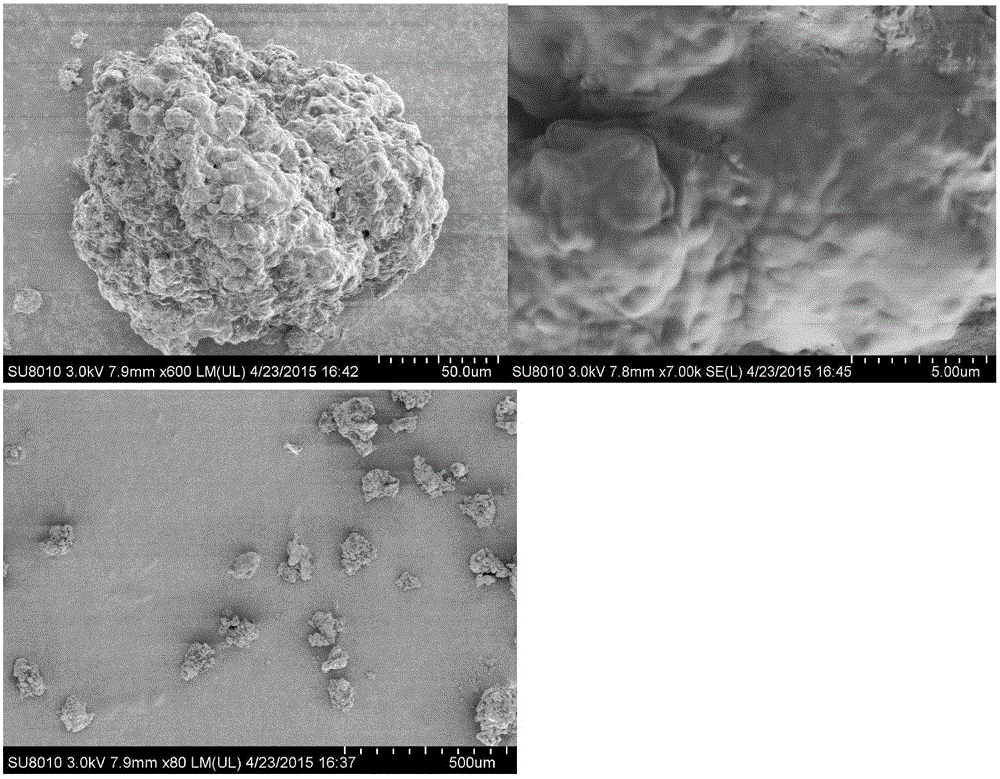 Probiotics microcapsule and preparation method thereof