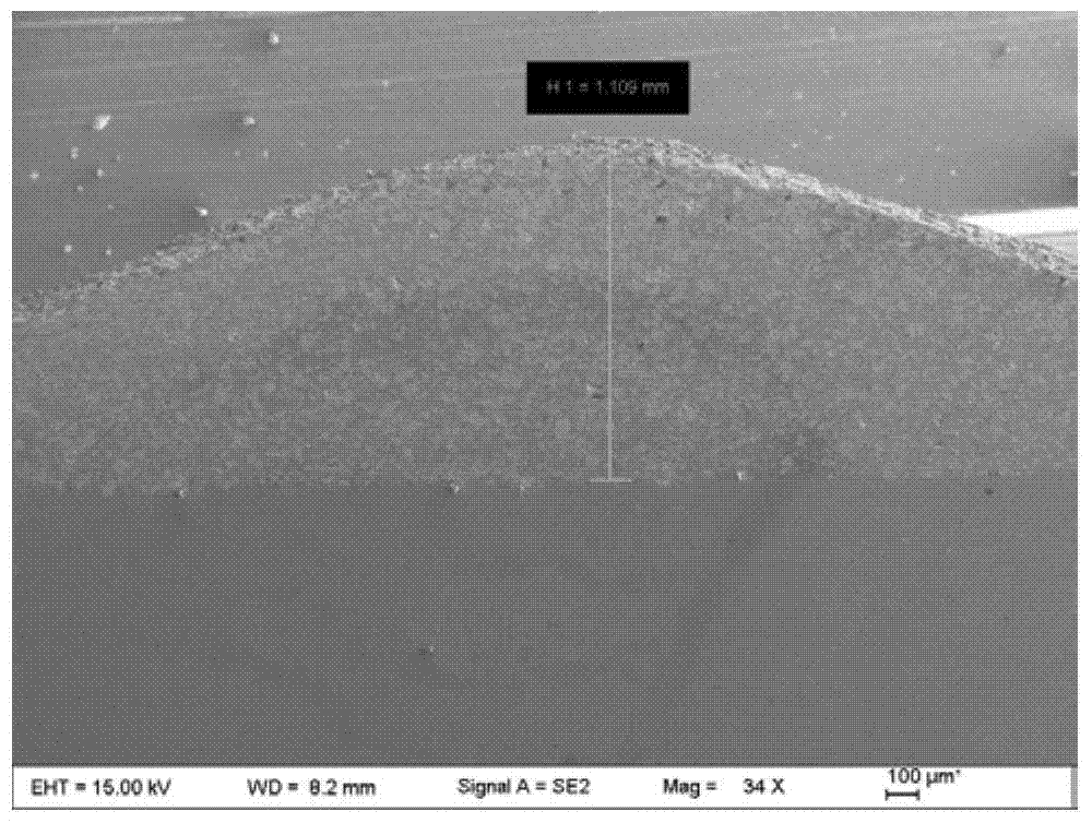 Special material for stainless steel-based composite coating for thin valve plate and preparation method thereof