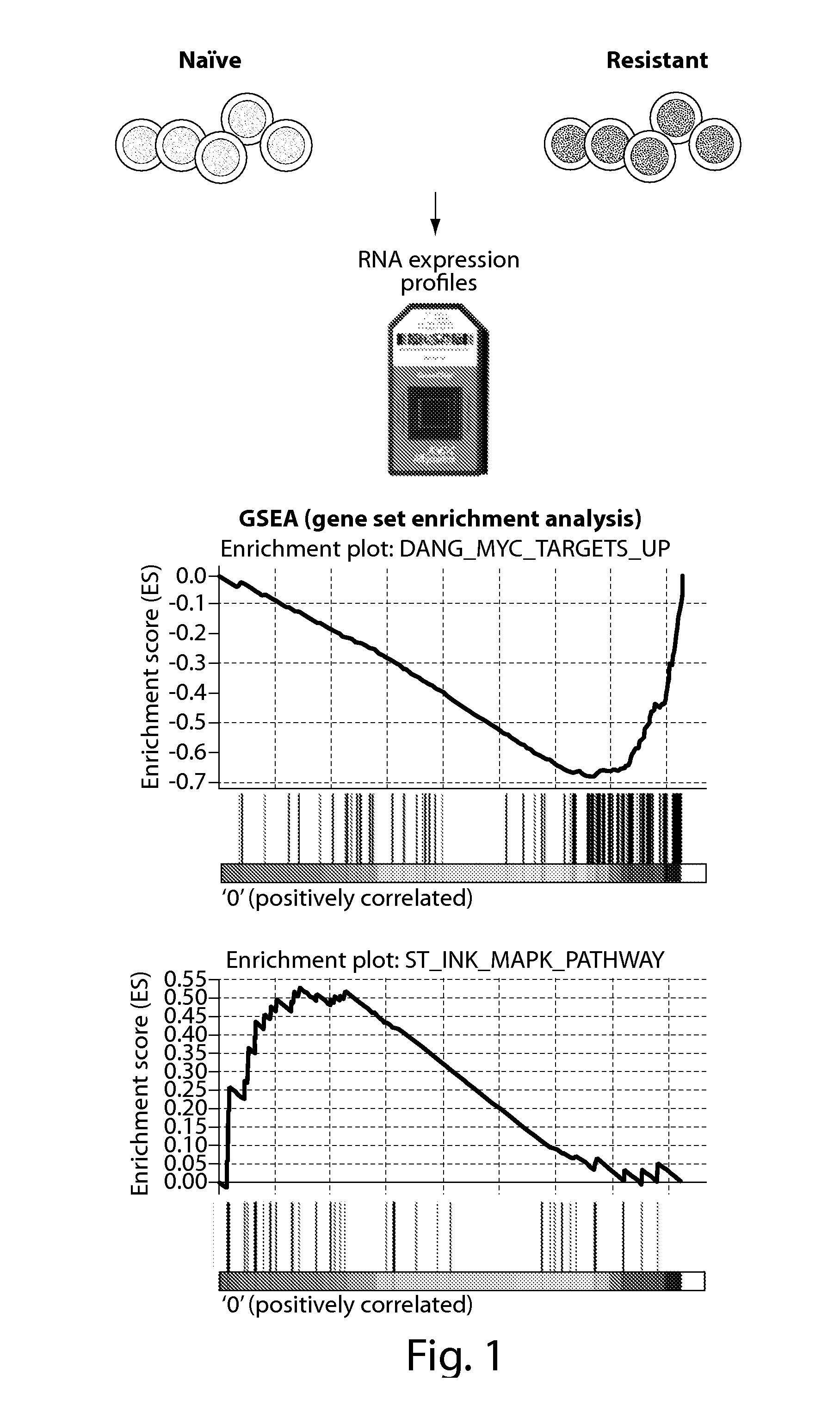 Diagnostic and treatment methods in subjects having or at risk of developing resistance to cancer therapy