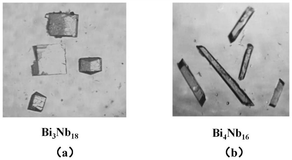 Heterometal niobium oxygen cluster compound, preparation method and application thereof