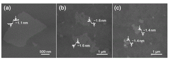 Method for preparing functionalized graphene oxide