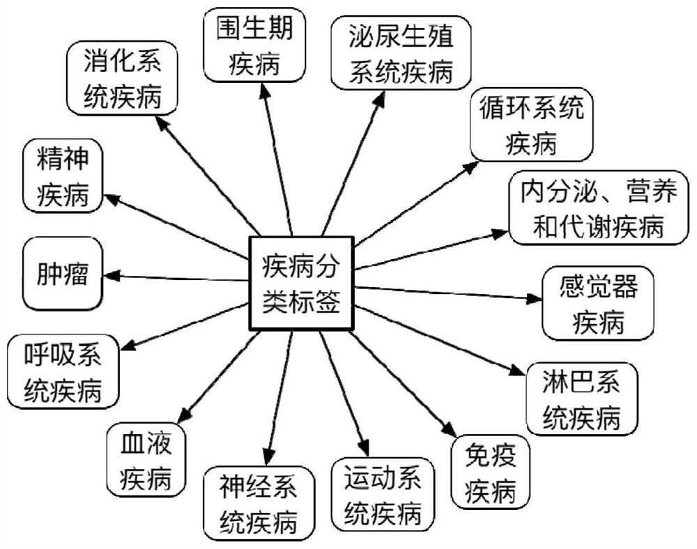 Diagnosis result verification method and device and electronic equipment