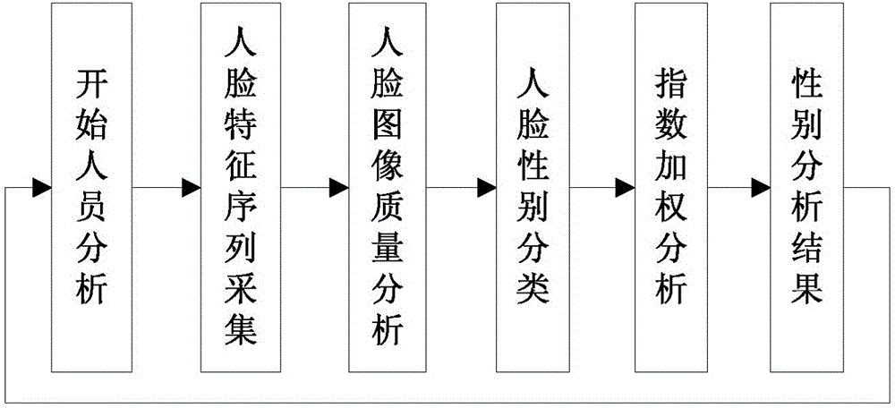 A Face Gender Recognition Method Based on Multi-parameter Exponential Weighting