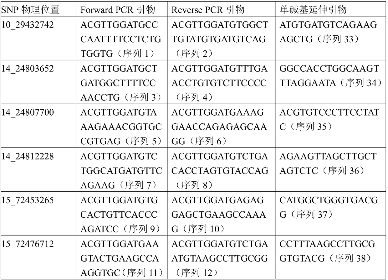 Eight SNP loci for identifying Tan sheep and non-Tan sheep and application thereof