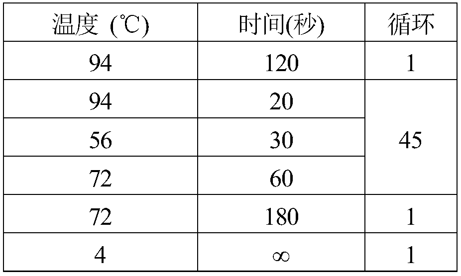 Eight SNP loci for identifying Tan sheep and non-Tan sheep and application thereof